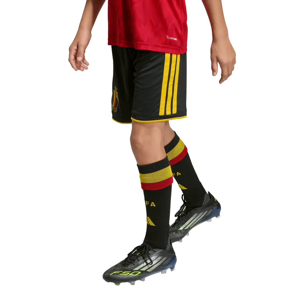 Vorschaubild 3